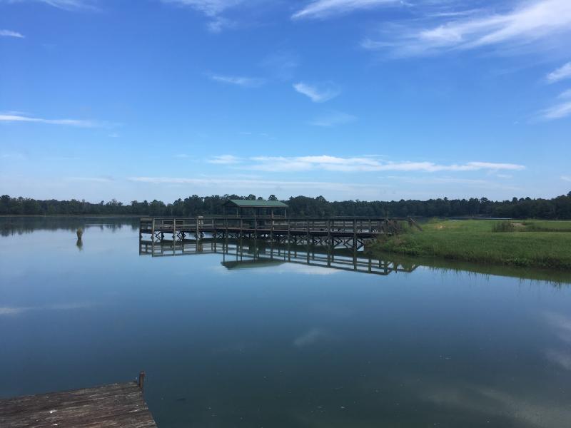 Pier Dallas